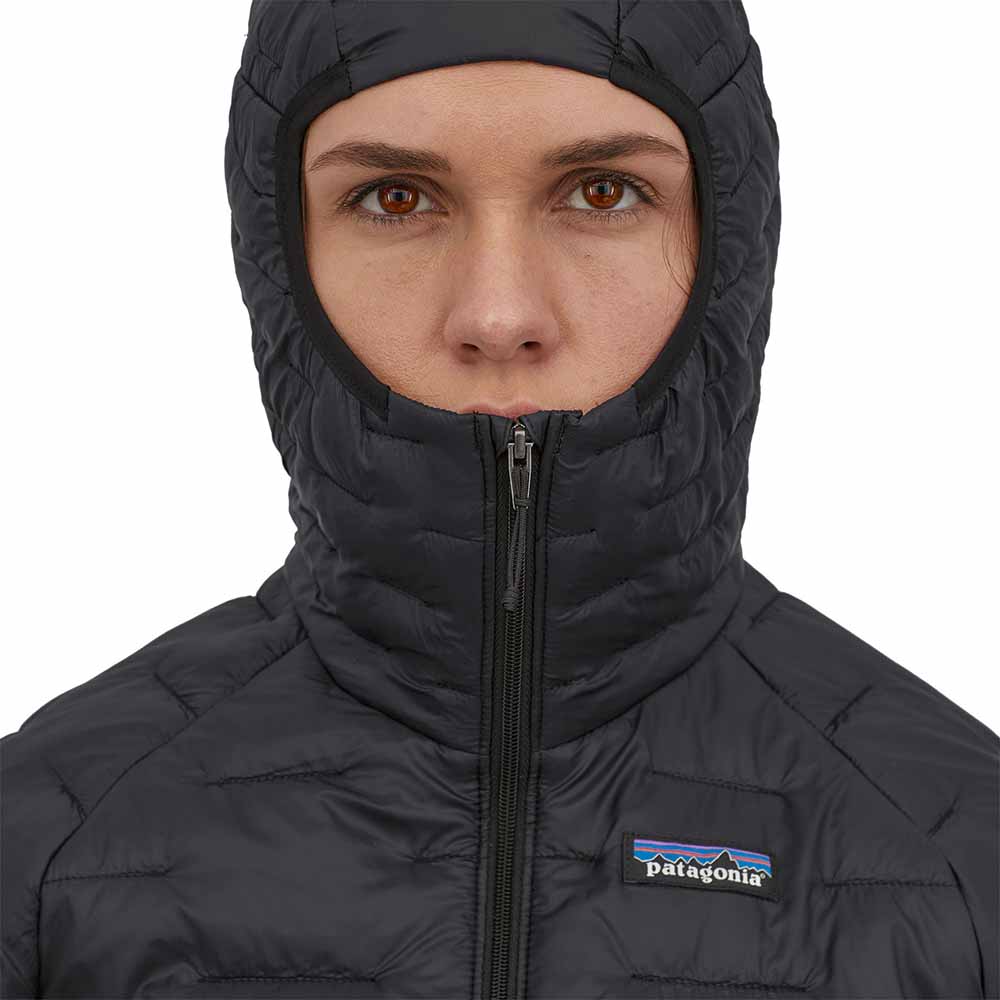 Patagonia puff 2024 hoody women's